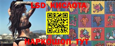 индика Коломна