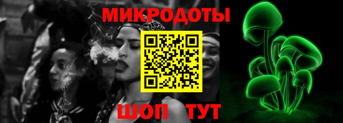 Псилоцибиновые грибы Psilocybe  где можно купить   Вход с VPN  Гудермес  Галлюциногенные грибы прущие грибы 